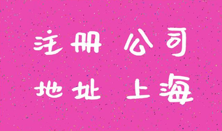 上海注冊公司成功后怎么進(jìn)行查詢？