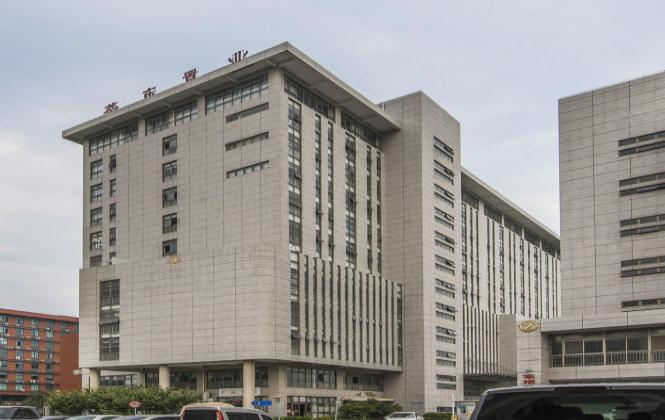 莘東置業(yè)：打造高品質(zhì)住宅，引領(lǐng)宜居新時代