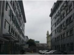 上海梅隴科技信息園助力企業(yè)跨越發(fā)展，筑夢(mèng)科技未來(lái)