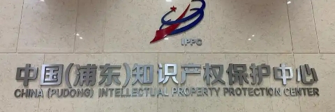 浦東新區(qū)人民政府關(guān)于印發(fā)《浦東新區(qū)促進知識產(chǎn)權(quán)運用若干規(guī)定》的通知
